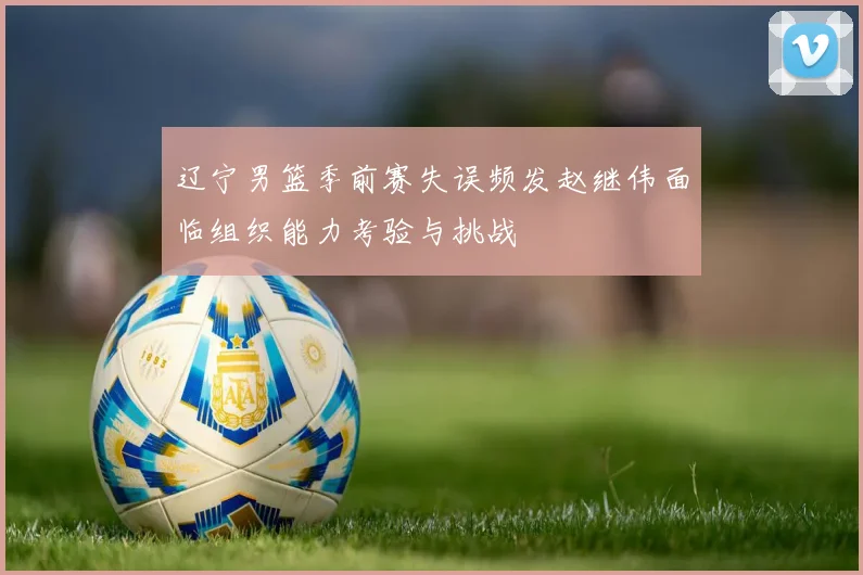 辽宁男篮季前赛失误频发赵继伟面临组织能力考验与挑战