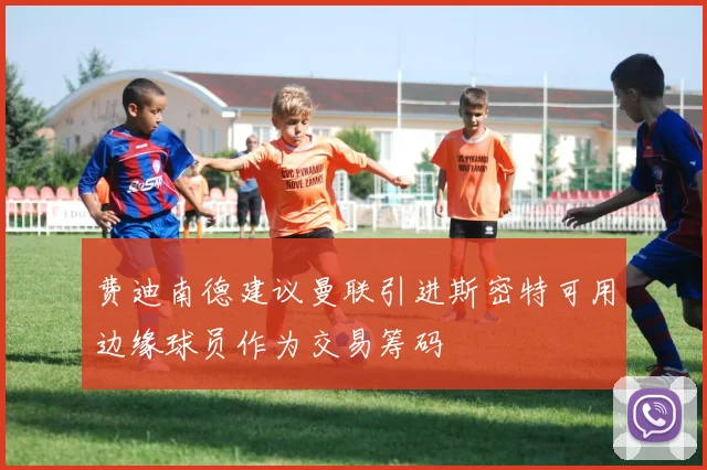费迪南德建议曼联引进斯密特可用边缘球员作为交易筹码
