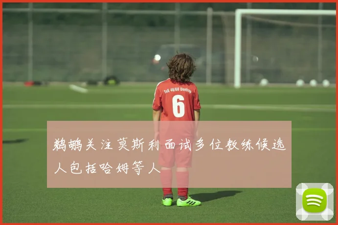 鹈鹕关注莫斯利面试多位教练候选人包括哈姆等人